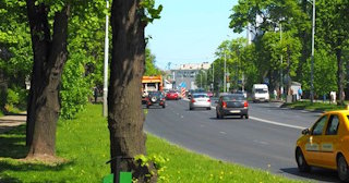 Посадка деревьев и кустарников в Камне-на-Оби — стоимость от 1218 руб.